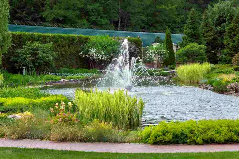 Création d'un bassin d'ornement dans un petit jardin de particulier, Amou, JLD ESPACES VERTS