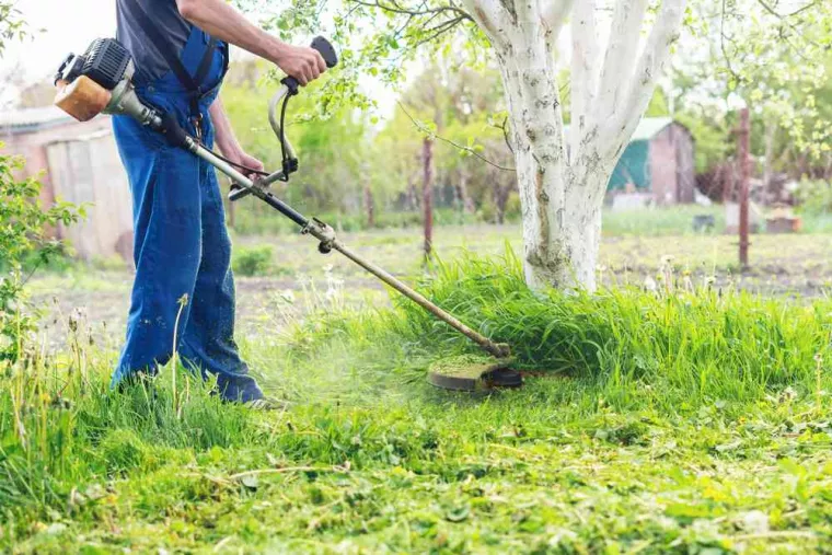 Débroussaillage de sous-bois dans un jardin résidentiel, Amou, JLD ESPACES VERTS