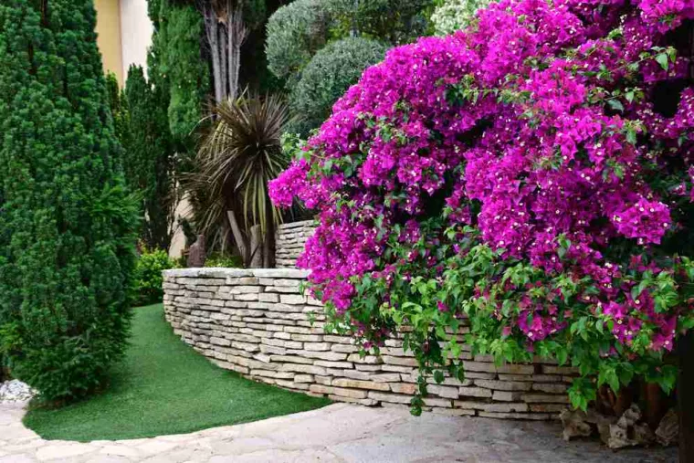 Création de muret en pierre naturelle dans un jardin en pente douce, Amou, JLD ESPACES VERTS